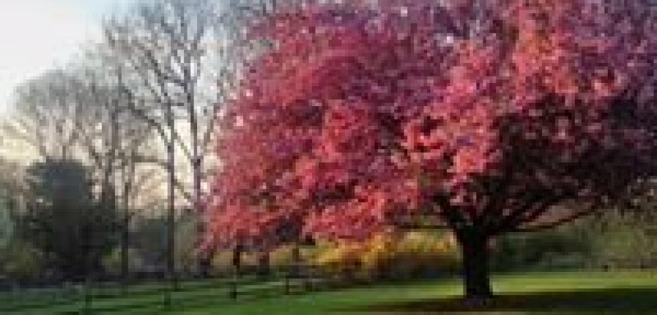 Mendham Borough Loan Closing