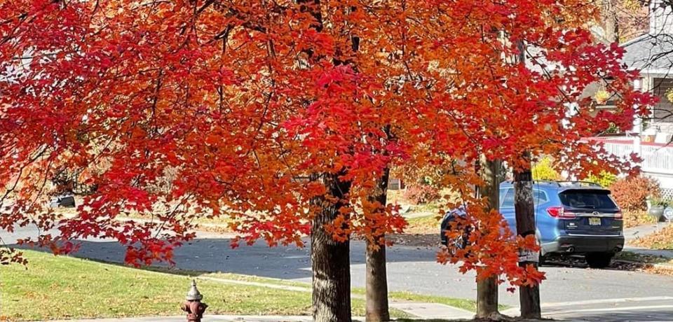 Ridgewood Village PFAS Removal