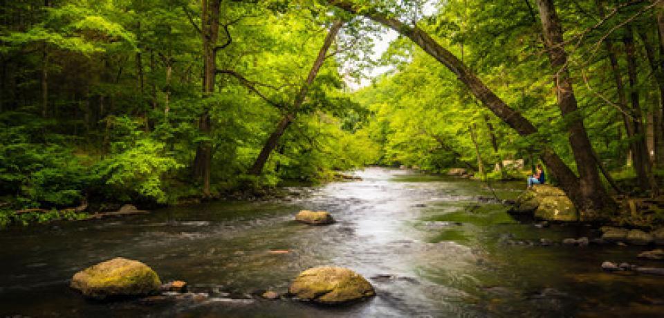 Hackettstown MUA Lead Service Line Replacement