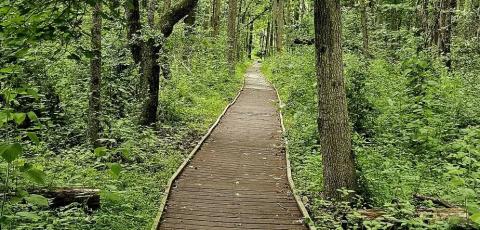 Walking Path inside Rancocas Park