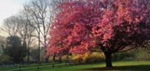 Mendham Borough Loan Closing