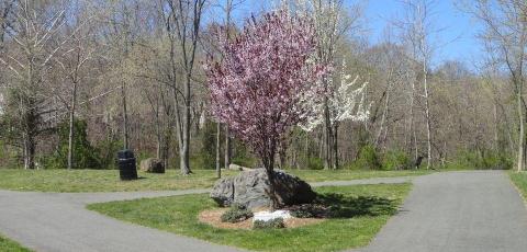 North Haledon Borough Loan Closing
