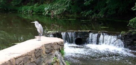 Ridgewood Village Water Treatment Centralization for PFAS Removal