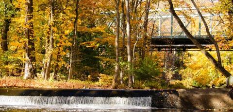 Lunch & Learn: DEP – Extreme Heat Resilience Action Plan