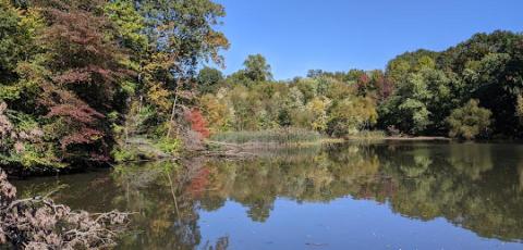 Runnemede Sanitary Sewer Extension and Pump Station