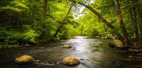Hackettstown MUA Lead Service Line Replacement