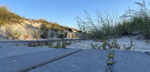 MULTI-AGENCY COLLABORATIVE EFFORT DELIVERS FIRST BOARDWALK LOAN TO SEASIDE PARK